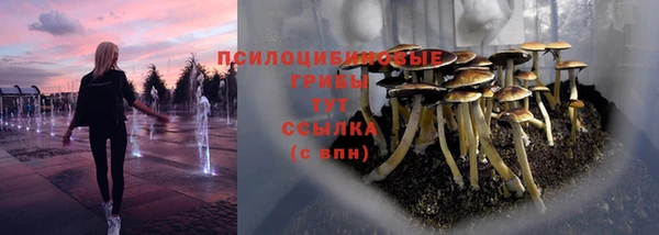 таблы Армянск