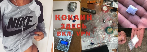 кокс Арсеньев