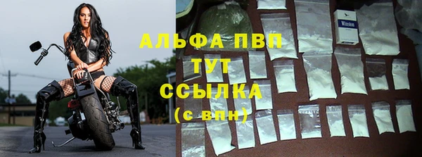 кокс Арсеньев