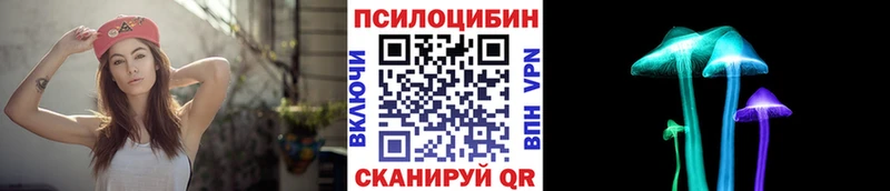 Галлюциногенные грибы Magic Shrooms  где продают наркотики  Колпашево 